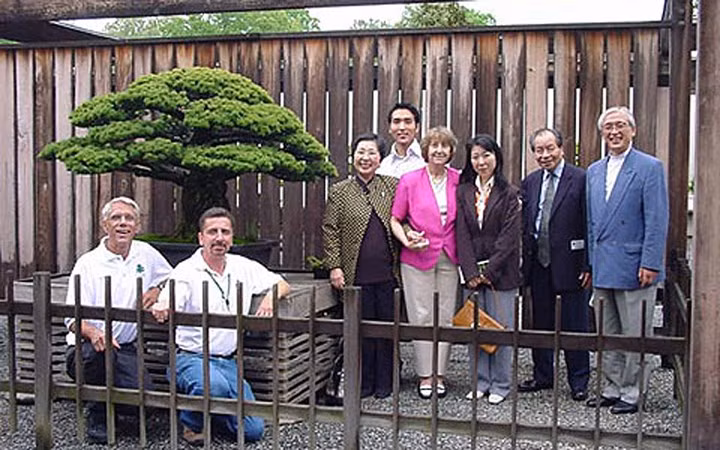 6 đời gia tộc nhà Yamaki đã chăm sóc cây cảnh có sức sống mãnh liệt này - và họ gọi "báu vật" này là Yamaki Pine (Cây thông nhà Yamaki) (Ảnh: Bonsai Bark)