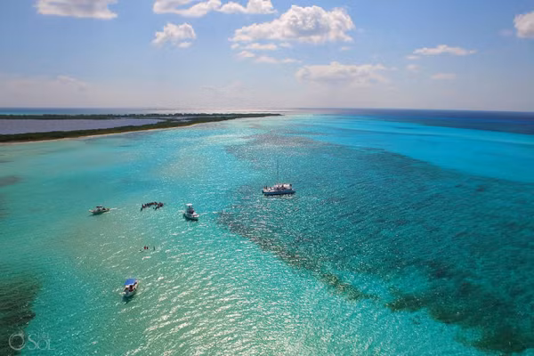 Cô dâu thay tận 6 chiếc váy cưới khác nhau. Phù dâu cũng được mặc đồng phục đặc biệt theo cô dâu chú rể ở dưới nước. Không một ai tham gia lễ cưới của cặp đôi này là không bị ướt. Buổi lễ này cũng đòi hỏi ban hậu cần đông hơn bình thường, chỉ riêng đôi ngũ ghi hình đã cần đến 8 nhiếp ảnh gia và quay phim. Giữa khung cảnh đặc biệt, Jovany Garzon và Susana Zamos đã trao nhẫn và hôn nhau dưới nước. Tất cả mọi người tham dự cùng nhau khiêu vũ, nâng ly chúc mừng cho cặp đôi này.