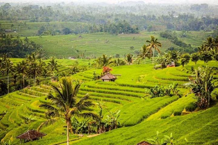 Indonesia: Chi phí đi du lịch ở Indonesia dao động từ 25 đến 30 USD/ngày. Ngoài Bali, có rất nhiều hòn đảo tuyệt đẹp khác để bạn lưu ý như Lombok và Gili.