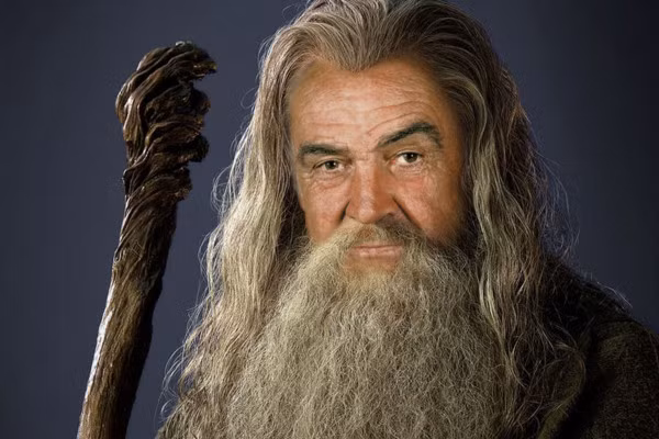 Sean Connery – The Lord of The Rings: Diễn viên lão làng Sean Connery không nhận vai phù thủy Gandalf của The Lord of The Rings với lý do không hiểu được kịch bản: “Tôi đọc sách, tôi đọc kịch bản, tôi xem phim, và tôi vẫn chẳng hiểu gì cả”.