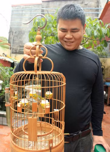 Nhiều người đam mê loài chim vành khuyên đã tìm đến nhà anh để đề nghị mua với giá hàng chục triệu nhưng anh từ chối.(Ảnh: Việt Nam Net)