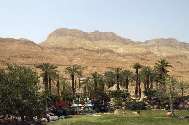 7. Ein Gedi, Israel Ốc đảo Ein Gedi nằm ở phía tây Biển Chết, trên sa mạc Judean giữa hang Masada và Qumran ở Israel. Nơi đây nổi tiếng với lịch sử lâu đời, các công trình kiến trúc và thiên nhiên hoang dã. Ein Gedi cũng được coi là ốc đảo quan trọng nhất ở Israel.