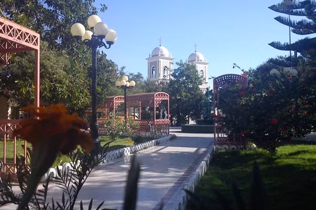 5. Pica, Chile Nằm trong sa mạc Atacama ở Chile, thị trấn Pica được hình thành quanh ốc đảo cùng tên. Sương mù từ Thái Bình Dương giúp cây phát triển xanh tốt trên sa mạc khô cằn. Ốc đảo này cũng là nơi sinh sống của loài chim hồng hạc.