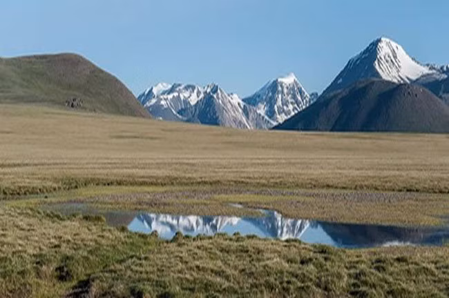 6. Zulganai, Mông Cổ Sa mạc Gobi không chỉ kết thúc ở Trung Quốc mà kéo dài sang lãnh thổ của Mông Cổ. Vẻ đẹp đầy sức sống của ốc đảo Zulganai là nhờ nó nằm gần sông Zulganai, bắt nguồn từ núi Altan chảy qua sa mạc và biến mất trong cát.