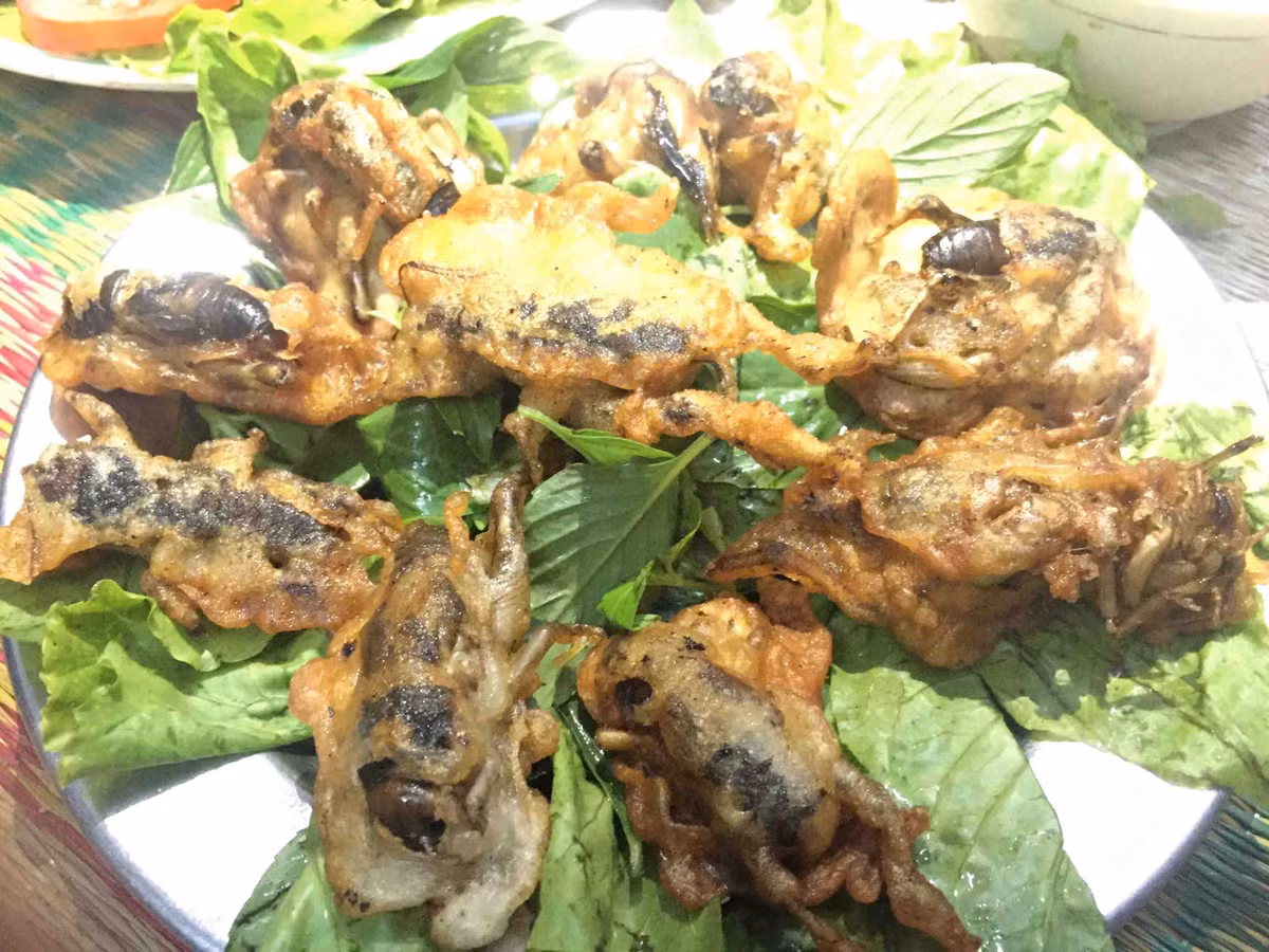 Mỗi ngày, anh Linh có thể đào, bắt được từ 100-200 con dế cơm và bán lại với giá 2.000 đồng/con. “Hiện nay, đang vào mùa, dế nhiều, lại rất to. Vậy nên tụi em bán với giá 2.000/con. Vào cuối tháng, dế ít, giá theo đó sẽ tăng lên. Loại dế này có thể chế biến thành nhiều “mồi bén”, thường thấy nhất là chiên tươi hoặc chiên bột”– anh Linh thông tin thêm.