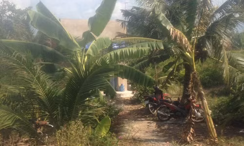 Thay giao tu vong trong tu the treo co ngay ngay khai giang