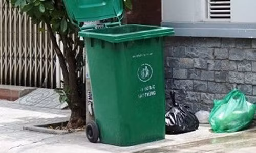 2 be gai so sinh duoc phat hien trong thung rac: Nguoi me tran tinh