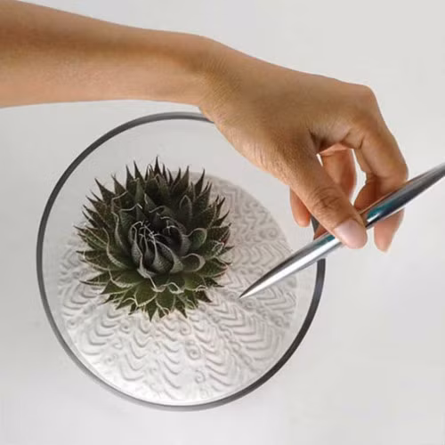 Vườn mini. Một cách tuyệt vời để thư giãn ngay trên bàn làm việc.