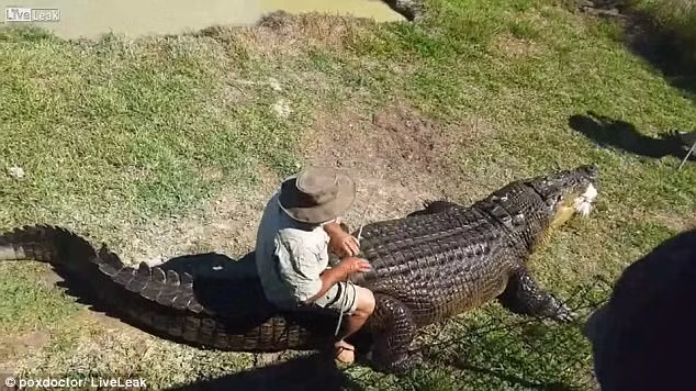 Dap vao nuoc lang nhu guong, khong ngo "quai vat" khong lo lao len-Hinh-2