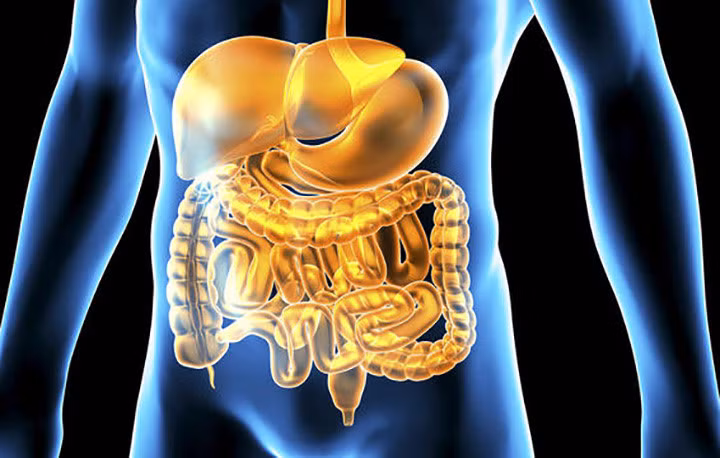 Bệnh viêm đại tràng: Vitamin D là một vitamin tan trong chất béo, sự hấp thụ của nó phụ thuộc vào khả năng tiêu hoá mỡ của ruột. Giảm hấp thu chất béo có liên quan đến bệnh viêm ruột (IBD). Trên thực tế, có tới 70% người mắc IBD không đủ vitamin D. Nếu bạn có IBD, hãy hỏi bác sĩ của bạn cách bạn có thể đảm bảo bạn có thể nhận đủ vitamin D cần thiết hàng ngày.