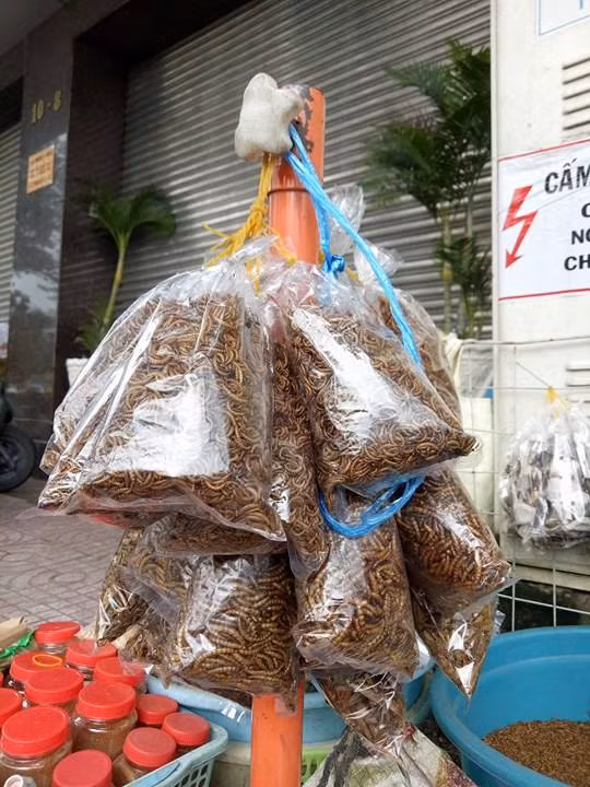 Sau khi sấy khô, sâu được buộc thành từng bọc nhỏ và bán với giá 10.000 đồng/bọc.