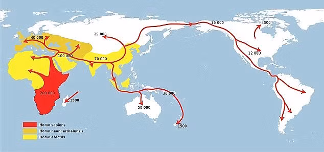Bộ xương của Lucy được khai quật năm 1970 tại Ethiopia.
