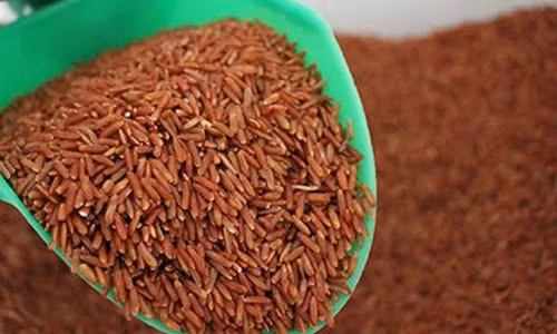 "Bo doi te bao ung thu" co thuc su hieu qua?