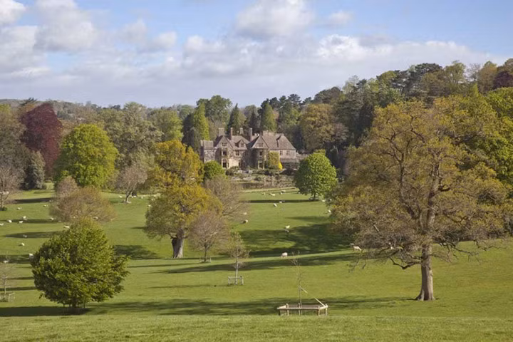 Khu biệt thự nằm trên khu đồi mênh mông, những vườn cây được chăm chút cẩn thận, tạo thành khung cảnh thần tiên như trong truyện cổ tích.