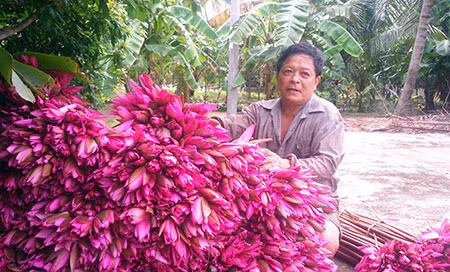 Thu nhap vai chuc trieu dong/nam nho trong bong sung do an choi