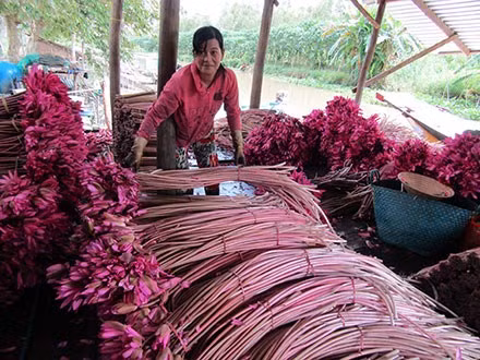 Thu nhap vai chuc trieu dong/nam nho trong bong sung do an choi-Hinh-2