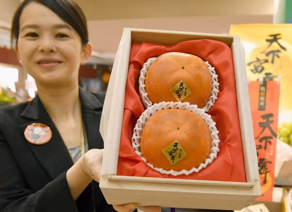 9. Hồng cao cấp: Đây là một loại hồng được trồng tại tỉnh Gifu (Nhật Bản). Và trong một phiên đấu giá, hai quả hồng loại này đã được bán với giá 540.000 yên (khoảng 50 triệu đồng/quả).