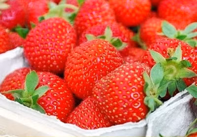 6. Dâu tây nữ hoàng Sembikiya: Được đặt tên theo một cửa hàng trái cây sang trọng ở Tokyo (Nhật Bản), mỗi hộp gồm 12 quả dâu tây được lựa chọn cẩn thận bằng tay và có kích cỡ giống hệt nhau. Với giá khoảng 85 USD/hộp. Mỗi ngày có ít nhất 50 hộp dâu tây Nữ hoàng Sembikiya được bán ra.