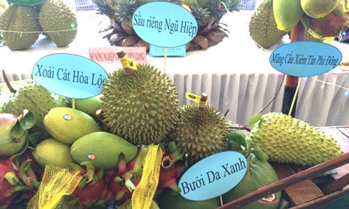 Việt Nam đã xây dựng được nhiều vùng nguyên liệu trái cây xuất khẩu lớn.