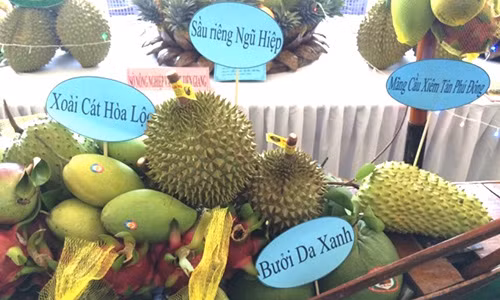 Việt Nam đã xây dựng được nhiều vùng nguyên liệu trái cây xuất khẩu lớn.