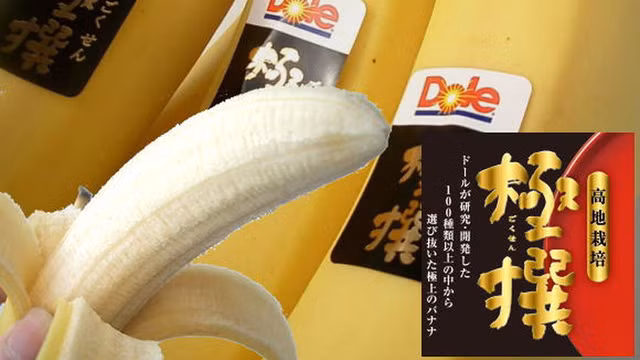 Loại chuối này được gọi là Gokusen, có nghĩa là "lựa chọn chất lượng cao nhất." Những quả chuối được lựa chọn khắt khe được bán với giá 6 USD.