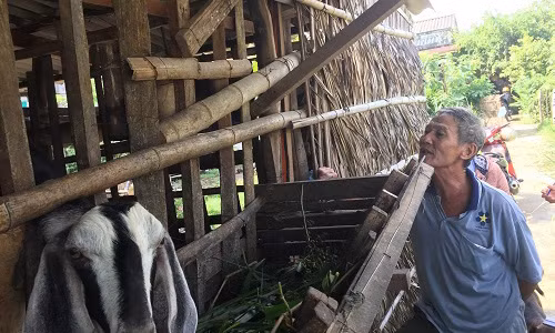 Cau chuyen buon cua nguoi cha co 3 con trai bi tai nan giao thong