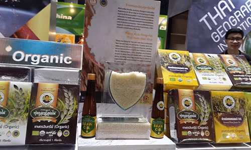 Hang Viet Nam tai hoi cho quoc te: Chi thieu tinh yeu