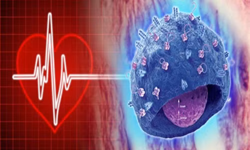 Ghep tim lam thay doi thoi quen, tinh cach?