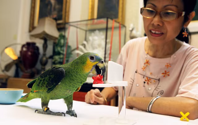 Dai gia Viet nem tien vao vet, tri, chao mao nghin do-Hinh-3