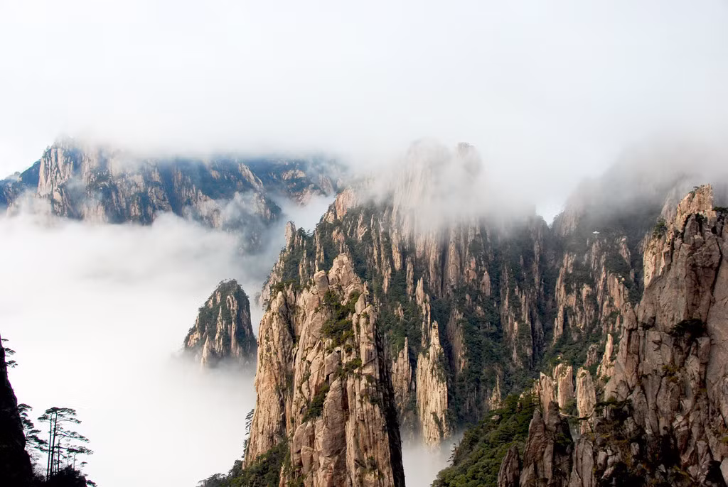 Nhờ vị trí địa lý đặc biệt, khung cảnh trên Quang Minh đỉnh biến ảo không lường, với hệ động thực vật độc đáo cho du khách khám phá. Ảnh: Landbeauties.