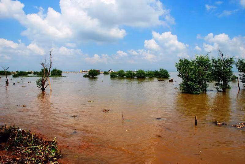 Một bãi cọc nằm trong đầm nước giáp đê sông Chanh, thuộc Yên Giang, thị xã Quảng Yên, tỉnh Quảng Ninh được phát hiện năm 1953. Tới năm 2005, thêm một bãi cọc nữa được tìm thấy ở cánh đồng Vạn Muối (thuộc Nam Hòa, thị xã Quảng Yên, Quảng Ninh). Ảnh: Thanh Sơn HP.