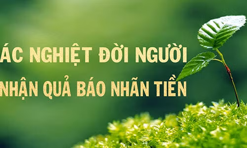 9 qua bao ghe ron cua chuyen bo bich, nhat dinh nen doc mot lan