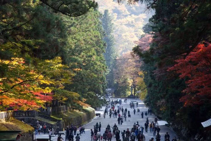 6. Nikko. Nikko nằm trong một công viên quốc gia xinh đẹp, đặc biệt rực rỡ từ đầu tháng 10 đến giữa tháng 11 và là nơi nghỉ ngơi cuối cùng của một trong những shogun (Mạc chúa) nổi tiếng nhất của Nhật Bản. Nơi tham quan thú vị là hồ Chuzenji và thị trấn suối nước nóng Yumoto Onsen.