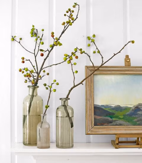 Trang trí cành táo dại Bạn có thể trang hoàng nhà cửa thêm phần sống động bằng một vài cành táo dại cắm trên bàn hay kệ lò sưởi hay kệ để đồ. Hãy bỏ lá khỏi cành vì điều đó sẽ làm tôn lên những quả táo đẹp mắt.