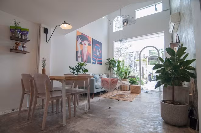 Những chậu cây xanh với các loại chất liệu thân thiện như mây, cói. (Ảnh: Nguyễn Thanh Nhân)