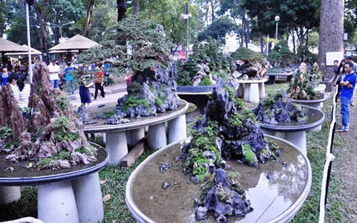 Qua bàn tay của các nghệ nhân những tác phẩm này hút hồn người mê cây cảnh. (Ảnh: Dân Việt)