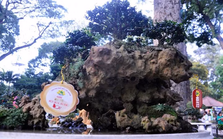 Tác phẩm độc đáo này mang tên "Chốn bình yên" (Ảnh: Dân Việt)