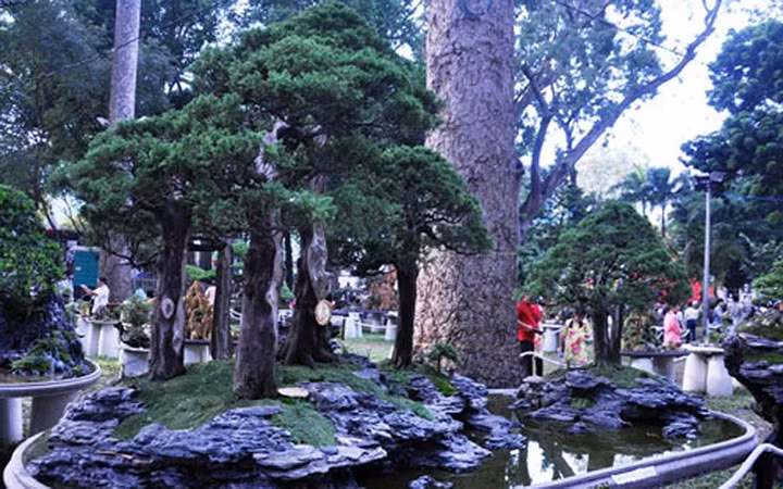 Siêu phẩm này được nhiều khách trả giá cao (Ảnh: Dân Việt)