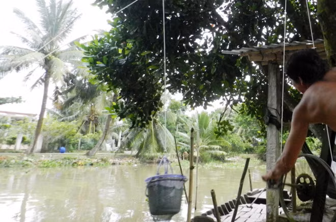 Ban hang bang "cap treo" doc dao o mien Tay-Hinh-2