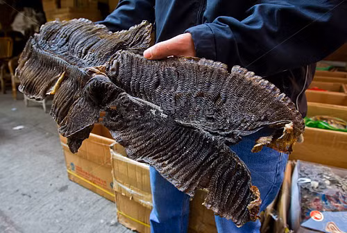 Sự thật tàn nhẫn phía sau vật lạ màu đen kỳ lạ Su that tan nhan phia sau vat la mau den ky la