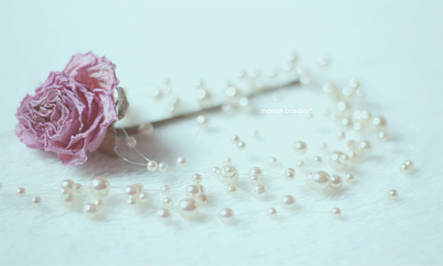 Ảnh sưu tầm trên Internet.