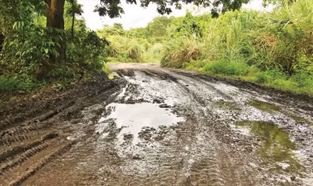 Tan thay nui da vinh Ha Long bi “xe thit”-Hinh-2