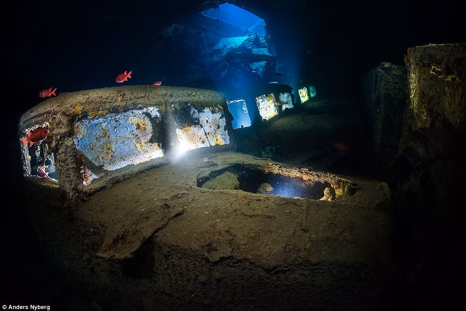 Lời khuyên của Nyberg cho một bức ảnh hoàn hảo là cần làm chủ các thiết bị lặn và máy ảnh của bạn trước khi lặn xuống nước. Ảnh: Anders Nyberg.