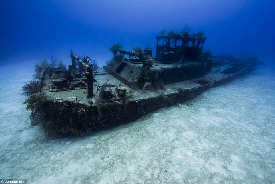 Cô cho biết mình đặc biệt thích thú với những xác tàu đắm còn nguyên vẹn. Mỗi xác tàu đều chứa đựng một câu chuyện riêng của chúng. Ảnh: Jennifer Idol.