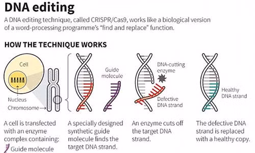Loai sieu vu khi khien con nguoi “kho so hon ca cai chet”