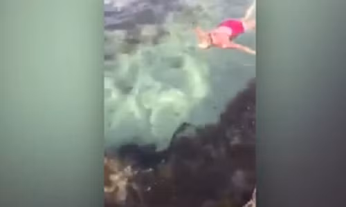 Thay ca map, ba me Uc lao toi truy bat, nem ra khoi be boi