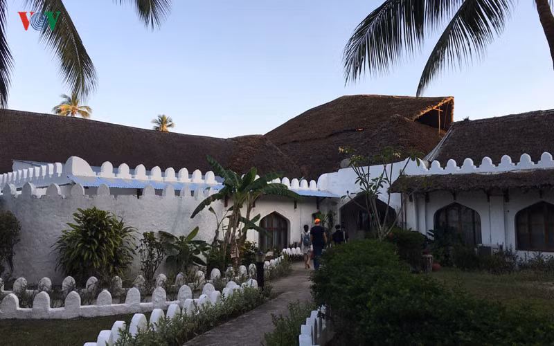 Zanzibar được ví như là hòn đảo thiên đường vì nơi đây có rất nhiều điều đặc biệt thu hút du khách thập phương đến thăm quan, nghỉ ngơi.