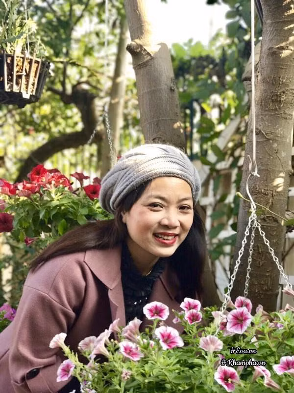 Mặc dù bận rộn trong công việc giảng dạy nhưng vợ chồng chị Liên vẫn dành thời gian trồng hoa trên góc sân thượng của gia đình. Đến nay, anh chị đã gắn bó với loài hoa này qua 4 mùa mưa nắng. Chị Liên tâm sự, chị yêu thích loài hoa này bởi sợ mềm mại, mong manh ở cánh hoa và màu xanh non ở lá cây. Hoa dạ yến thảo tương đối dễ trồng, dễ đầu tư. Hơn nữa, loài cây này lại cho hoa rực rỡ trong thời gian dài từ tháng 11 đến tận tháng 4 năm sau.