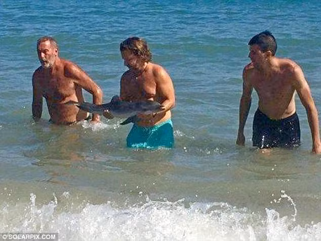 Giết chết cá heo con vì chụp ảnh selfie: Một số du khách trên bãi biển ở Tây Ban Nha đã phải chịu trách nhiệm cho cái chết của một con cá heo nhỏ, khi họ đưa sinh vật này ra khỏi nước để chụp ảnh cùng. Một số đã bịt lỗ thở của con cá voi, việc vây quanh cũng khiến con vật bị choáng váng và khó thở. Ảnh: Daily Mail.