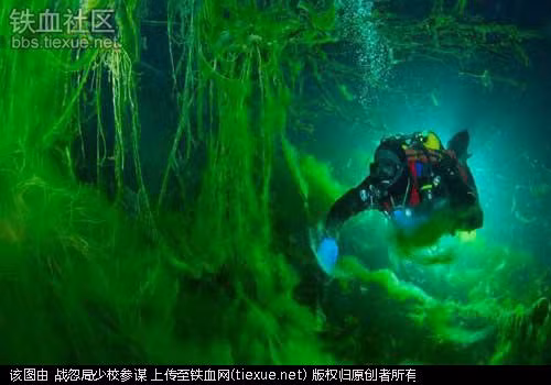 Thợ lặn trong các huyệt động Do áp lực nước không ổn định, không gian và bề mặt nước chật hẹp, nghề này nguy hiểm hơn nghề thợ lặn biển sâu gấp nhiều lần. Mức lương của họ là 58.600 USD mỗi năm.